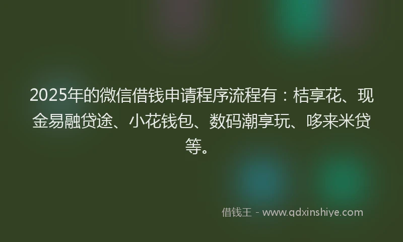 2025年的微信借钱申请程序流程有：桔享花、现金易融贷途、小花钱包、数码潮享玩、哆来米贷等。