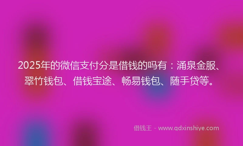 2025年的微信支付分是借钱的吗有：涌泉金服、翠竹钱包、借钱宝途、畅易钱包、随手贷等。