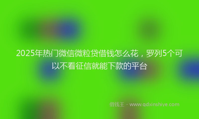 2025年热门微信微粒贷借钱怎么花，罗列5个可以不看征信就能下款的平台