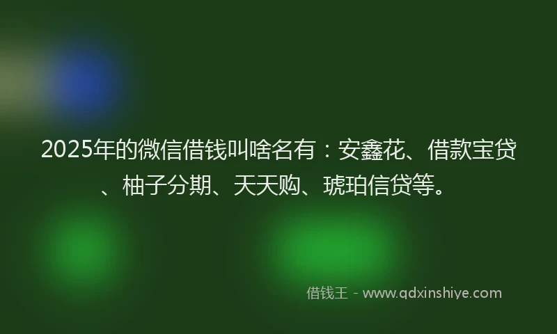 2025年的微信借钱叫啥名有：安鑫花、借款宝贷、柚子分期、天天购、琥珀信贷等。