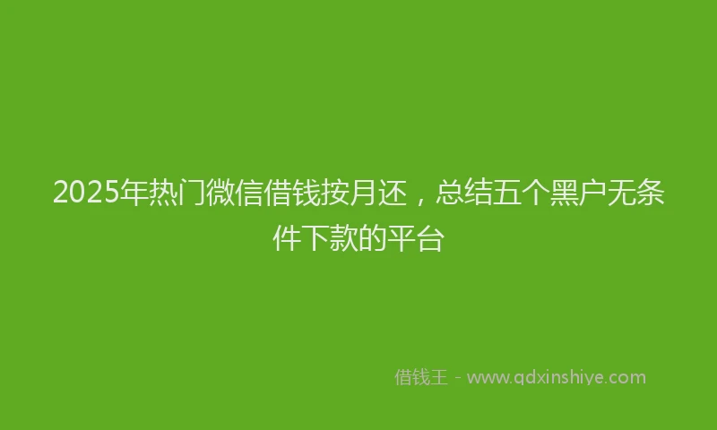 2025年热门微信借钱按月还，总结五个黑户无条件下款的平台
