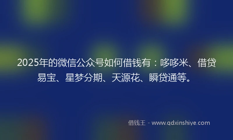 2025年的微信公众号如何借钱有：哆哆米、借贷易宝、星梦分期、天源花、瞬贷通等。