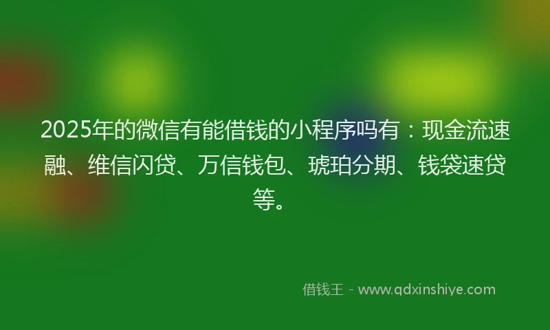 2025年的微信有能借钱的小程序吗有：现金流速融、维信闪贷、万信钱包、琥珀分期、钱袋速贷等。