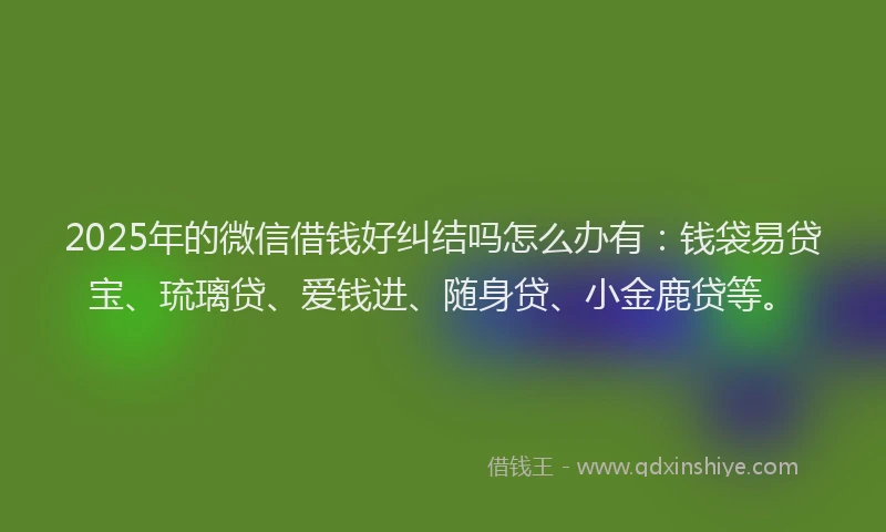 2025年的微信借钱好纠结吗怎么办有：钱袋易贷宝、琉璃贷、爱钱进、随身贷、小金鹿贷等。