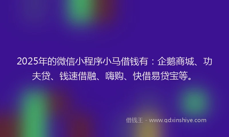 2025年的微信小程序小马借钱有：企鹅商城、功夫贷、钱速借融、嗨购、快借易贷宝等。