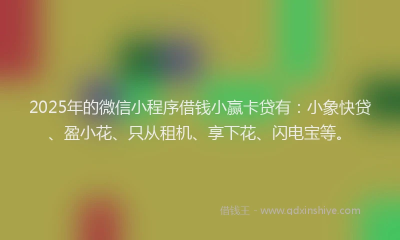 2025年的微信小程序借钱小赢卡贷有：小象快贷、盈小花、只从租机、享下花、闪电宝等。