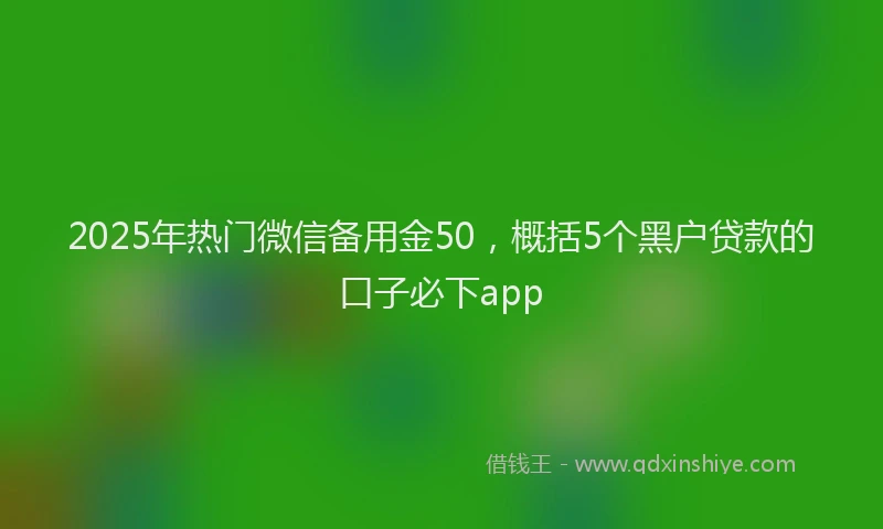2025年热门微信备用金50，概括5个黑户贷款的口子必下app