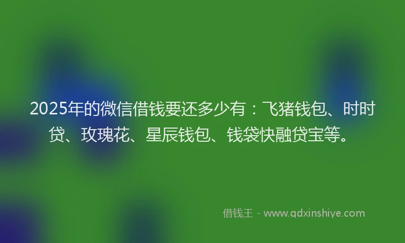 2025年的微信借钱要还多少有：飞猪钱包、时时贷、玫瑰花、星辰钱包、钱袋快融贷宝等。