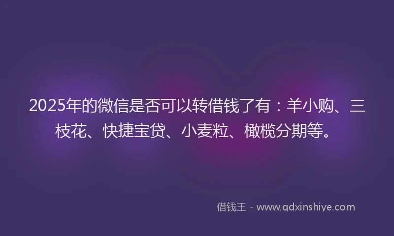 2025年的微信是否可以转借钱了有：羊小购、三枝花、快捷宝贷、小麦粒、橄榄分期等。