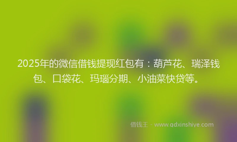 2025年的微信借钱提现红包有：葫芦花、瑞泽钱包、口袋花、玛瑙分期、小油菜快贷等。