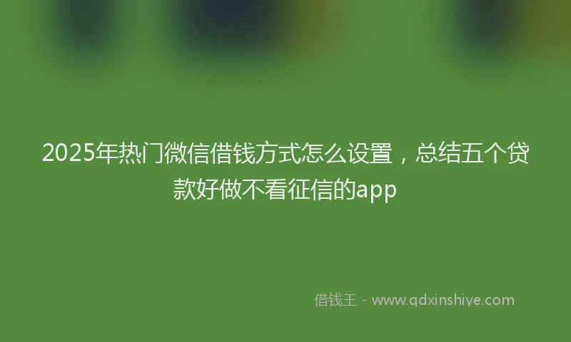 2025年热门微信借钱方式怎么设置，总结五个贷款好做不看征信的app