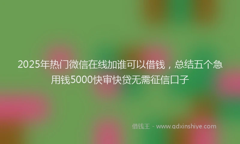 2025年热门微信在线加谁可以借钱，总结五个急用钱5000快审快贷无需征信口子