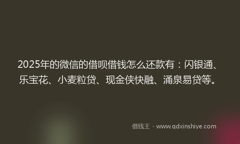 2025年的微信的借呗借钱怎么还款有：闪银通、乐宝花、小麦粒贷、现金侠快融、涌泉易贷等。