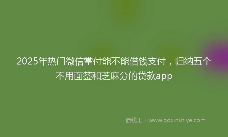 2025年热门微信掌付能不能借钱支付，归纳五个不用面签和芝麻分的贷款app