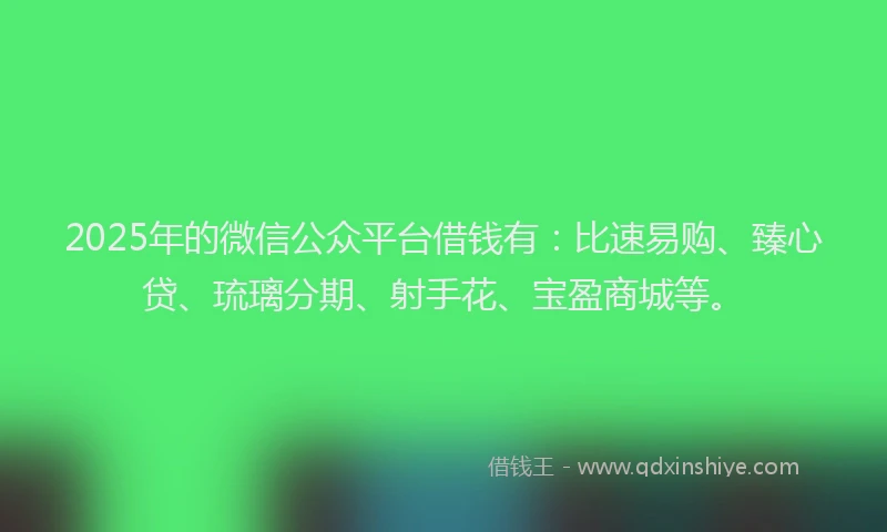 2025年的微信公众平台借钱有：比速易购、臻心贷、琉璃分期、射手花、宝盈商城等。