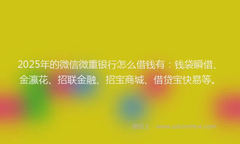 2025年的微信微重银行怎么借钱有：钱袋瞬借、金瀛花、招联金融、招宝商城、借贷宝快易等。