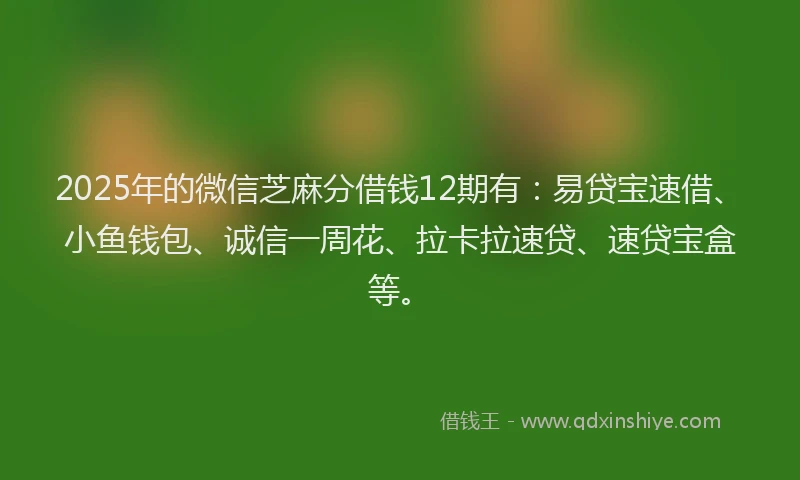 2025年的微信芝麻分借钱12期有：易贷宝速借、小鱼钱包、诚信一周花、拉卡拉速贷、速贷宝盒等。