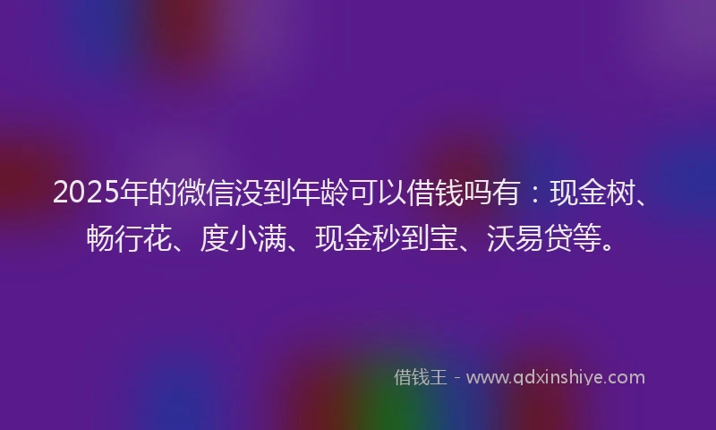 2025年的微信没到年龄可以借钱吗有：现金树、畅行花、度小满、现金秒到宝、沃易贷等。