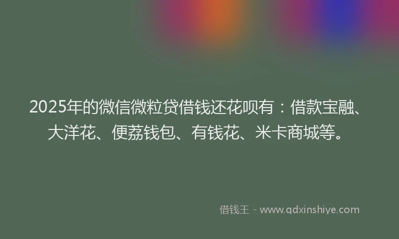2025年的微信微粒贷借钱还花呗有：借款宝融、大洋花、便荔钱包、有钱花、米卡商城等。