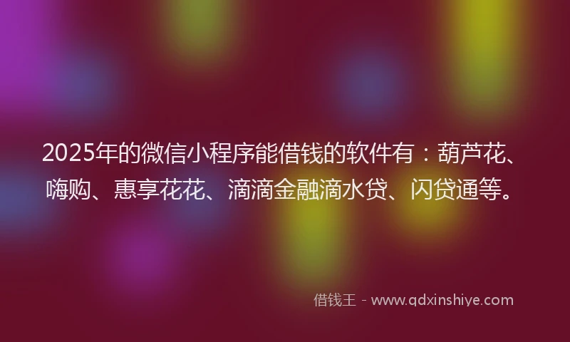 2025年的微信小程序能借钱的软件有：葫芦花、嗨购、惠享花花、滴滴金融滴水贷、闪贷通等。