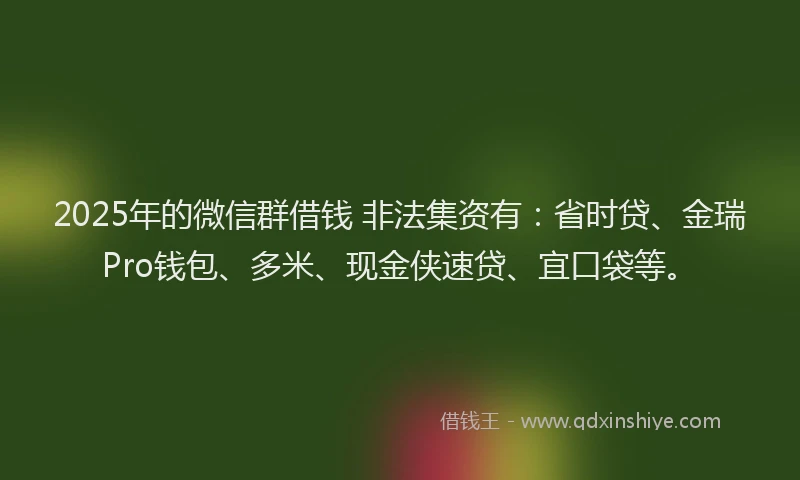 2025年的微信群借钱 非法集资有：省时贷、金瑞Pro钱包、多米、现金侠速贷、宜口袋等。