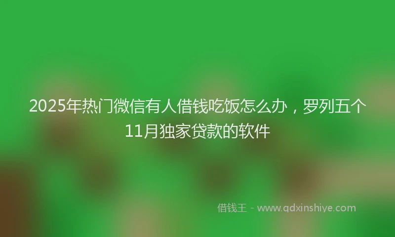 2025年热门微信有人借钱吃饭怎么办，罗列五个11月独家贷款的软件