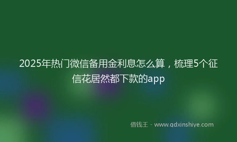2025年热门微信备用金利息怎么算，梳理5个征信花居然都下款的app
