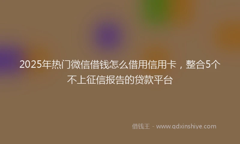 2025年热门微信借钱怎么借用信用卡，整合5个不上征信报告的贷款平台