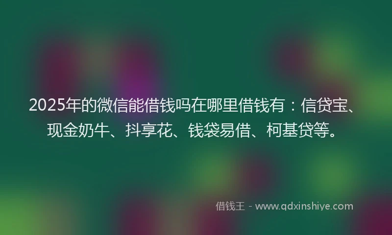 2025年的微信能借钱吗在哪里借钱有：信贷宝、现金奶牛、抖享花、钱袋易借、柯基贷等。
