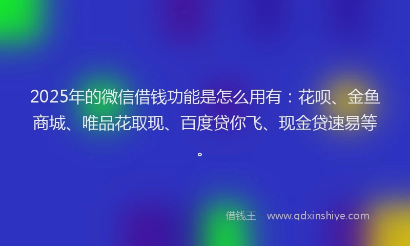 2025年的微信借钱功能是怎么用有：花呗、金鱼商城、唯品花取现、百度贷你飞、现金贷速易等。