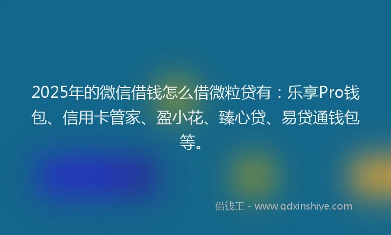 2025年的微信借钱怎么借微粒贷有：乐享Pro钱包、信用卡管家、盈小花、臻心贷、易贷通钱包等。