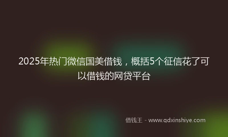 2025年热门微信国美借钱，概括5个征信花了可以借钱的网贷平台