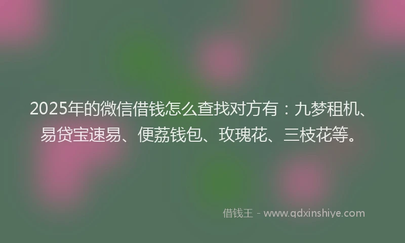 2025年的微信借钱怎么查找对方有：九梦租机、易贷宝速易、便荔钱包、玫瑰花、三枝花等。