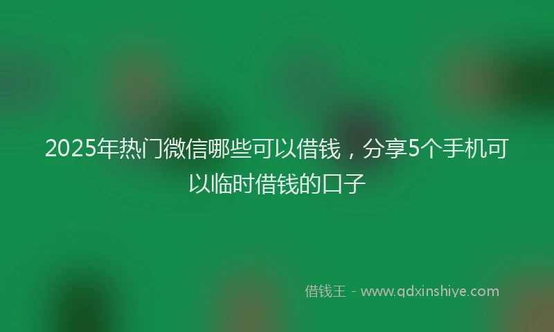 2025年热门微信哪些可以借钱，分享5个手机可以临时借钱的口子