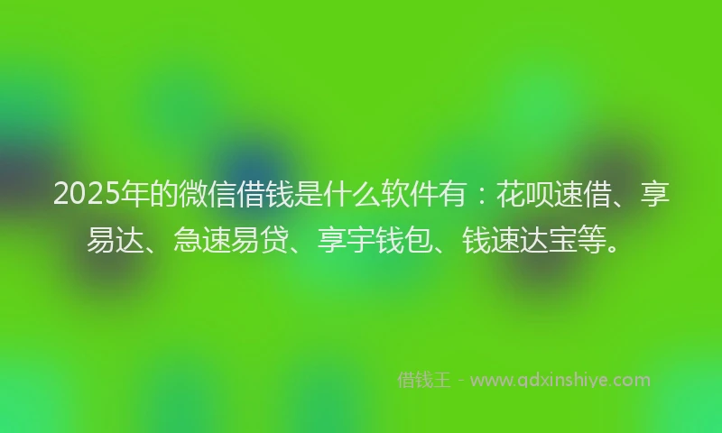 2025年的微信借钱是什么软件有：花呗速借、享易达、急速易贷、享宇钱包、钱速达宝等。