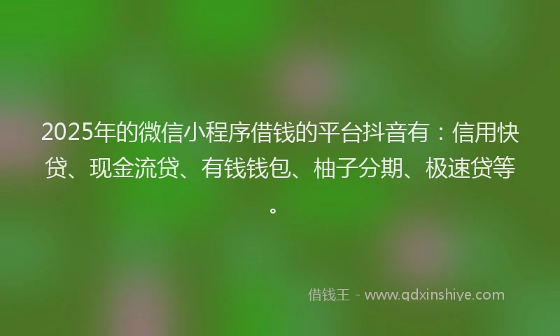 2025年的微信小程序借钱的平台抖音有：信用快贷、现金流贷、有钱钱包、柚子分期、极速贷等。