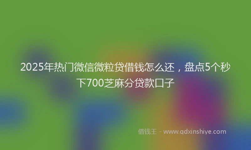 2025年热门微信微粒贷借钱怎么还，盘点5个秒下700芝麻分贷款口子