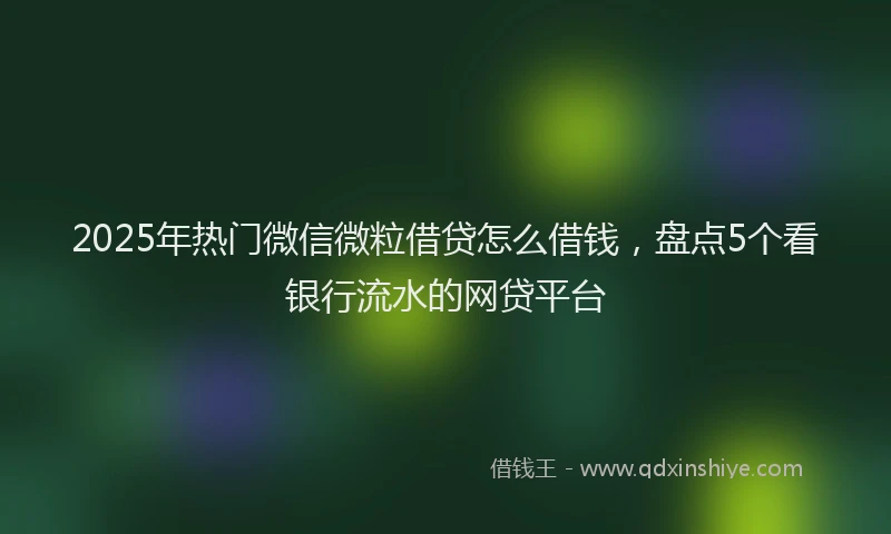 2025年热门微信微粒借贷怎么借钱，盘点5个看银行流水的网贷平台