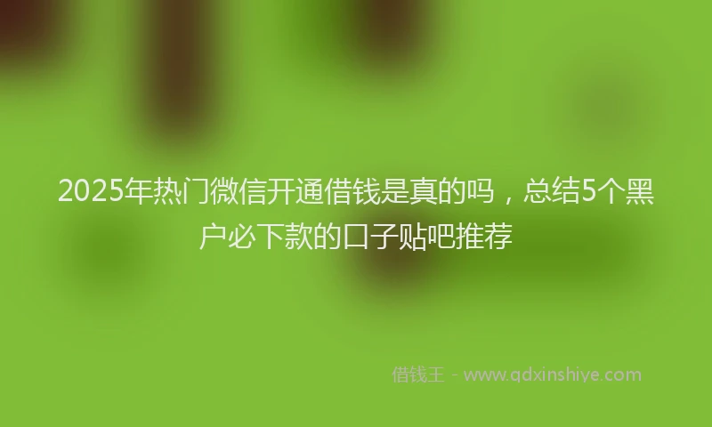 2025年热门微信开通借钱是真的吗，总结5个黑户必下款的口子贴吧推荐