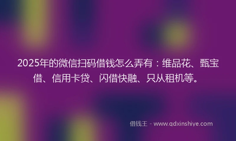 2025年的微信扫码借钱怎么弄有：维品花、甄宝借、信用卡贷、闪借快融、只从租机等。