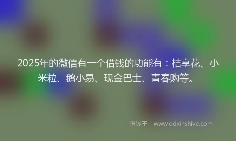 2025年的微信有一个借钱的功能有：桔享花、小米粒、鹅小易、现金巴士、青春购等。