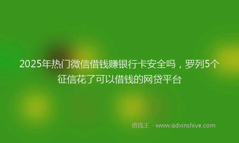 2025年热门微信借钱赚银行卡安全吗，罗列5个征信花了可以借钱的网贷平台