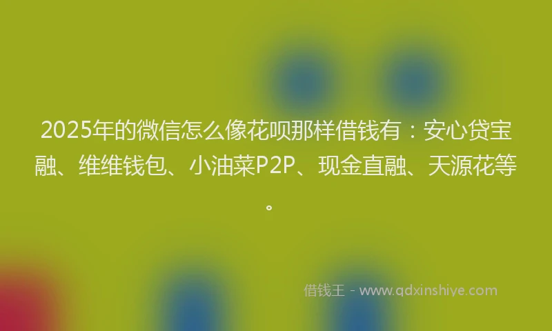 2025年的微信怎么像花呗那样借钱有：安心贷宝融、维维钱包、小油菜P2P、现金直融、天源花等。