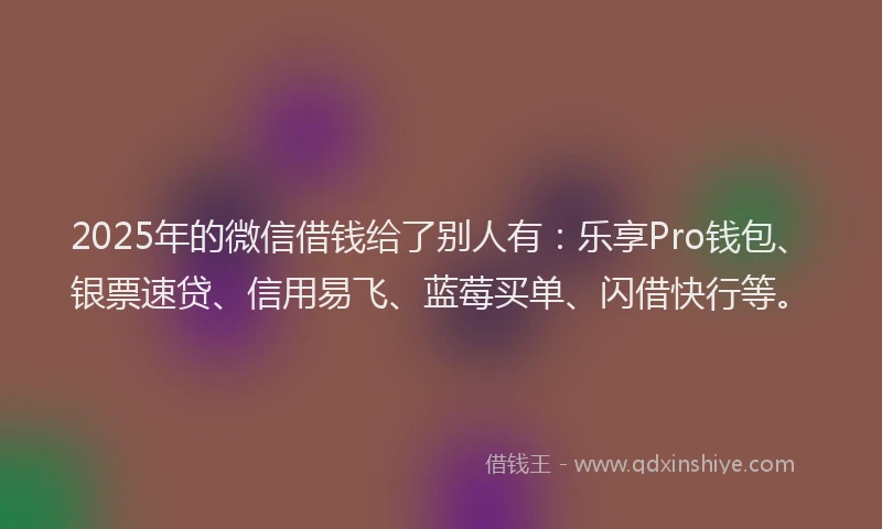 2025年的微信借钱给了别人有：乐享Pro钱包、银票速贷、信用易飞、蓝莓买单、闪借快行等。
