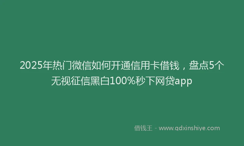2025年热门微信如何开通信用卡借钱，盘点5个无视征信黑白100%秒下网贷app