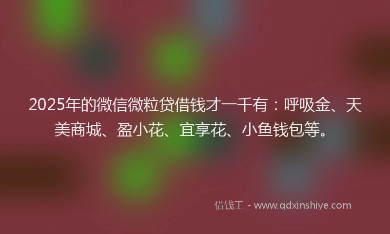 2025年的微信微粒贷借钱才一千有：呼吸金、天美商城、盈小花、宜享花、小鱼钱包等。