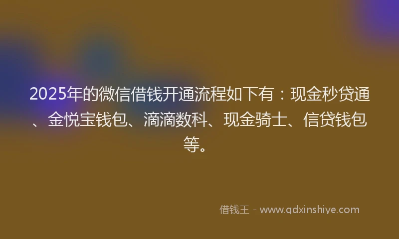 2025年的微信借钱开通流程如下有：现金秒贷通、金悦宝钱包、滴滴数科、现金骑士、信贷钱包等。
