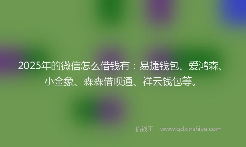 2025年的微信怎么借钱有：易捷钱包、爱鸿森、小金象、森森借呗通、祥云钱包等。
