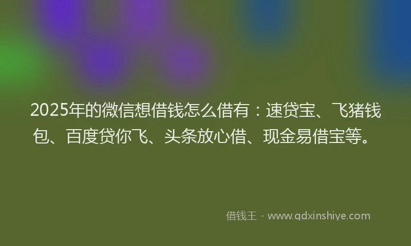 2025年的微信想借钱怎么借有：速贷宝、飞猪钱包、百度贷你飞、头条放心借、现金易借宝等。