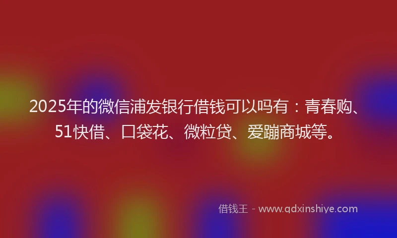 2025年的微信浦发银行借钱可以吗有：青春购、51快借、口袋花、微粒贷、爱蹦商城等。